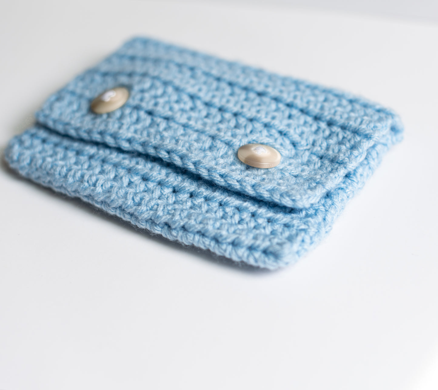 Bumblebee Blue Pouch